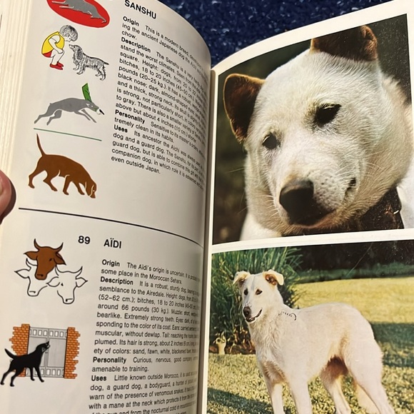 Identity dogs 320 Breeds - Picture 4 of 13